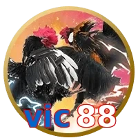 vic88